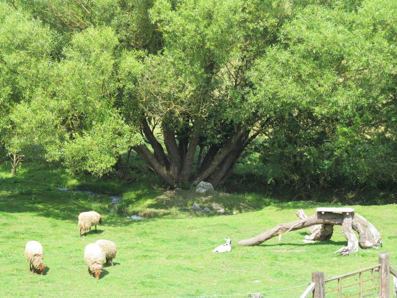 Energite Tillet Dış mekan fotoğraf